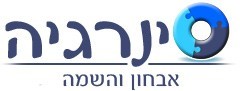 סינרגיה אבחון והשמה